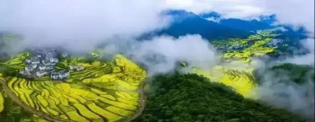 新疆可可托海、喀纳斯湖、禾木、乌尔禾魔鬼域、天山天池、吐鲁番双飞8日游