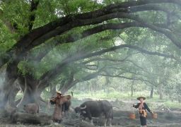 travel picture