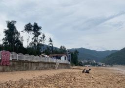 travel picture