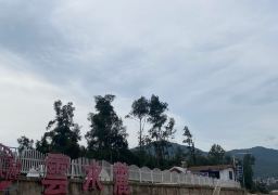 travel picture