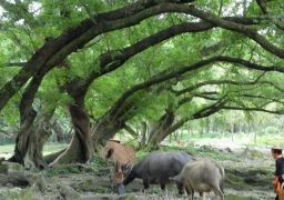 travel picture