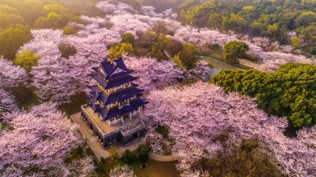 华东五市+牛首山胜景+鼋头渚&太湖风光+双水乡（乌镇、木渎）+苏州园林+杭州西湖+上海中华艺术馆5日