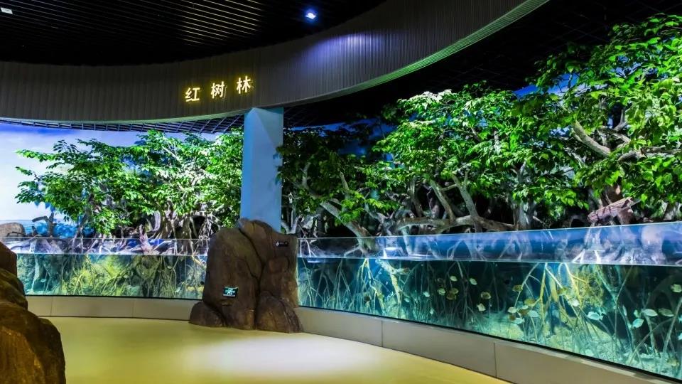 罗源湾海洋世界一日游99元/人起