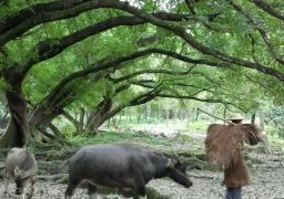 travel picture